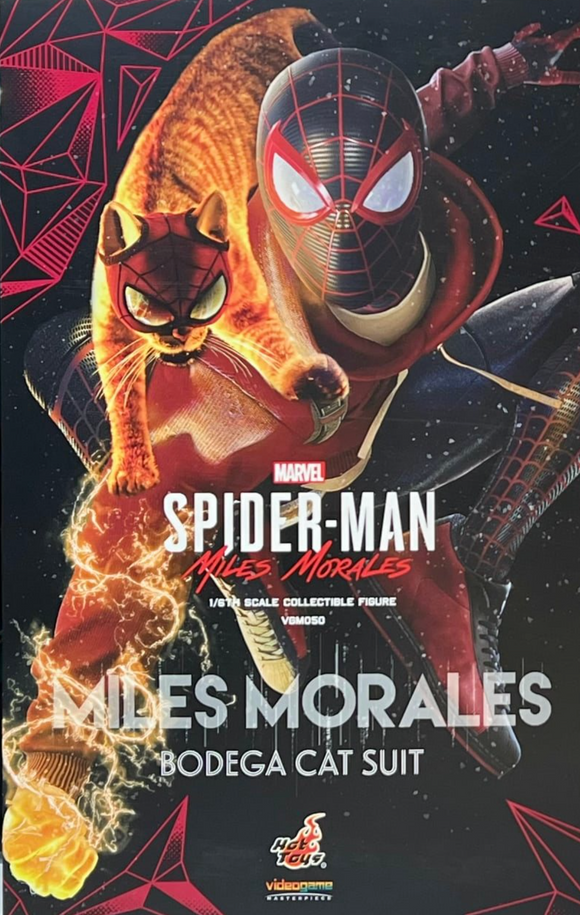 Hot Toys : Spiderman Miles Morales (Bodega Cat Suit) VGM50